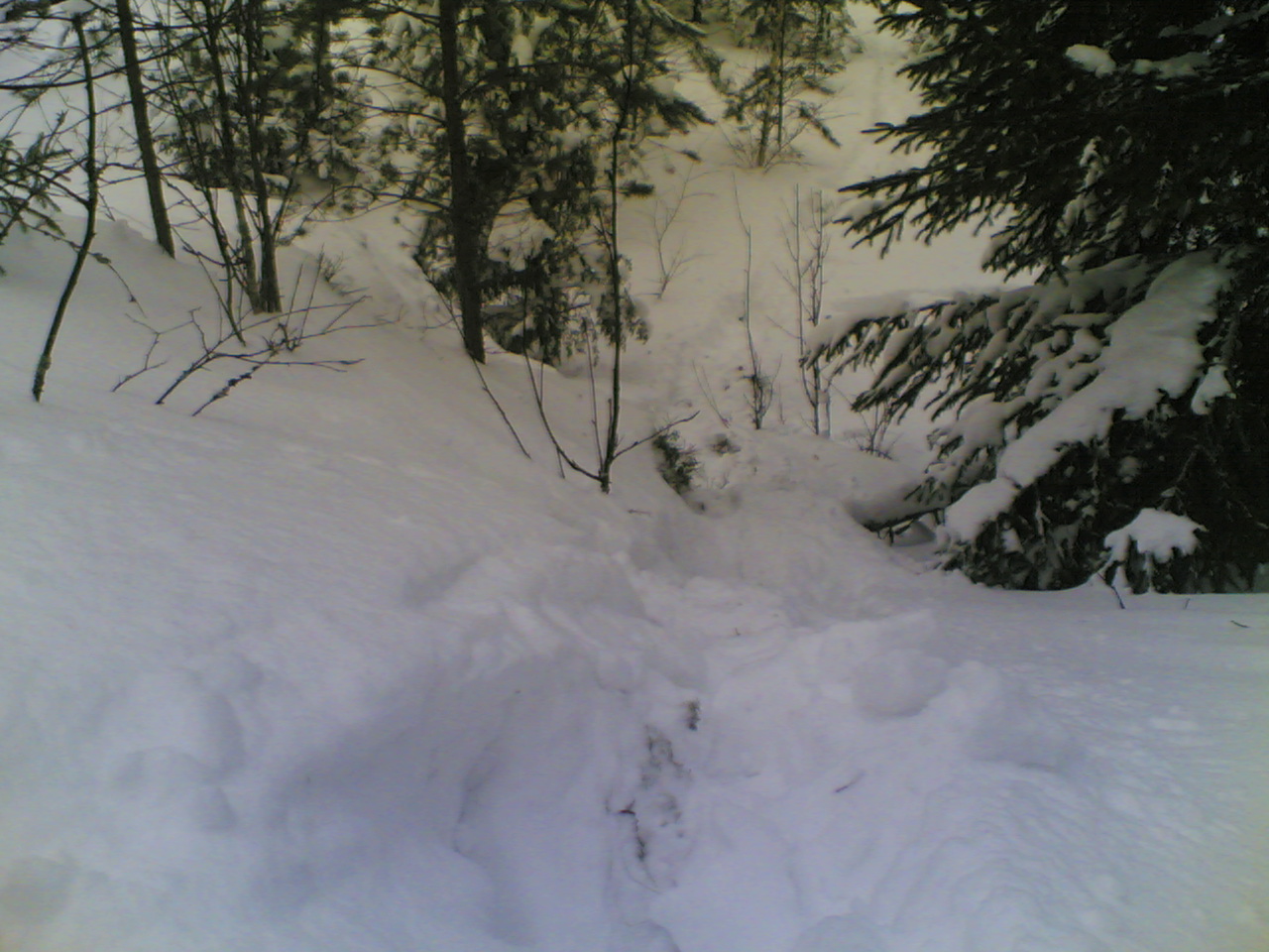 Granin20hirvikarkko2027122009002