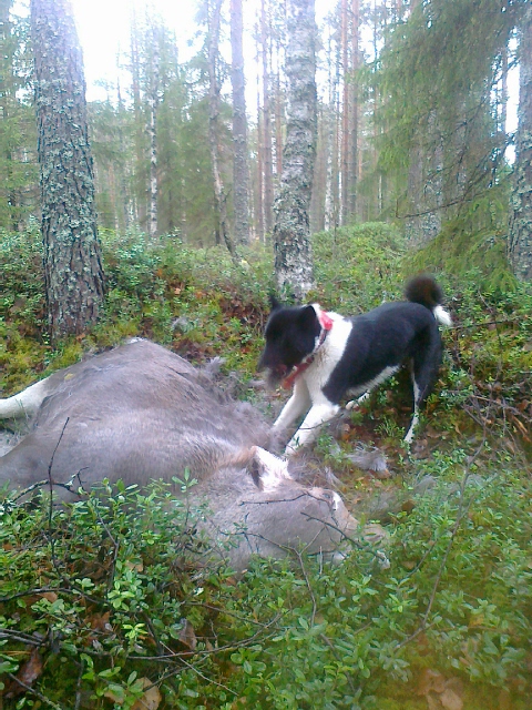Obran20vasa2013102012
